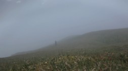 Contemplating_still2